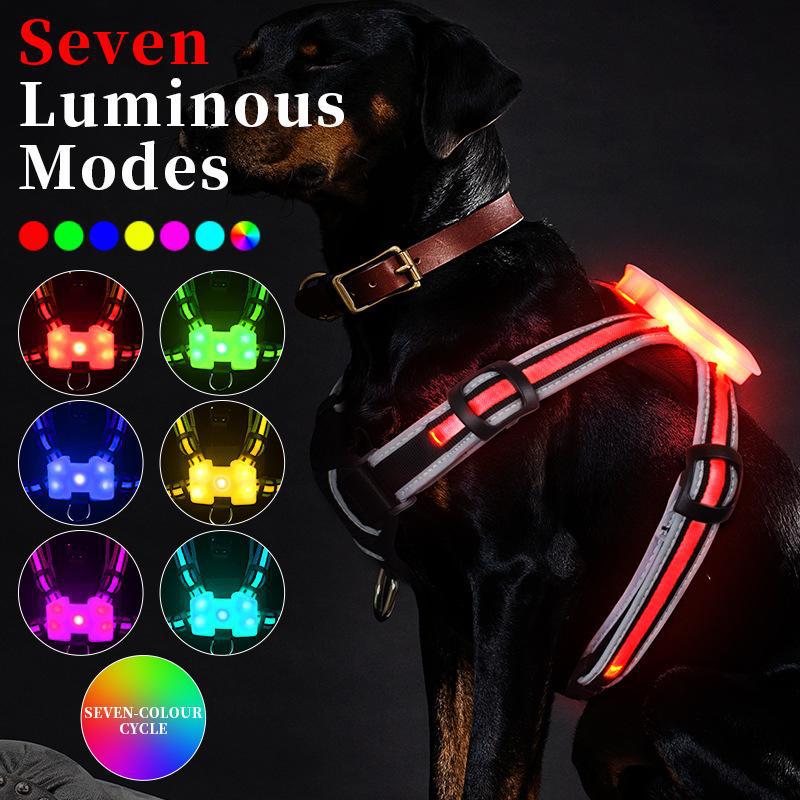 Explosion proof Flashing Dog Strap LED Luminous Chest Strap