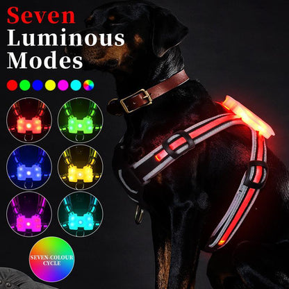 Explosion proof Flashing Dog Strap LED Luminous Chest Strap