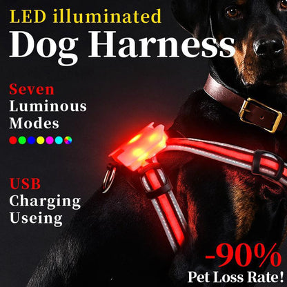 Explosion proof Flashing Dog Strap LED Luminous Chest Strap